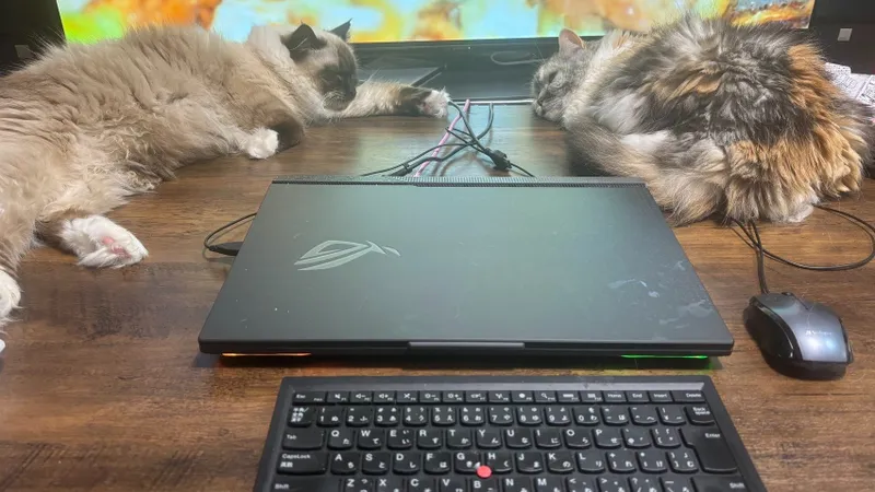 画像を追加しました